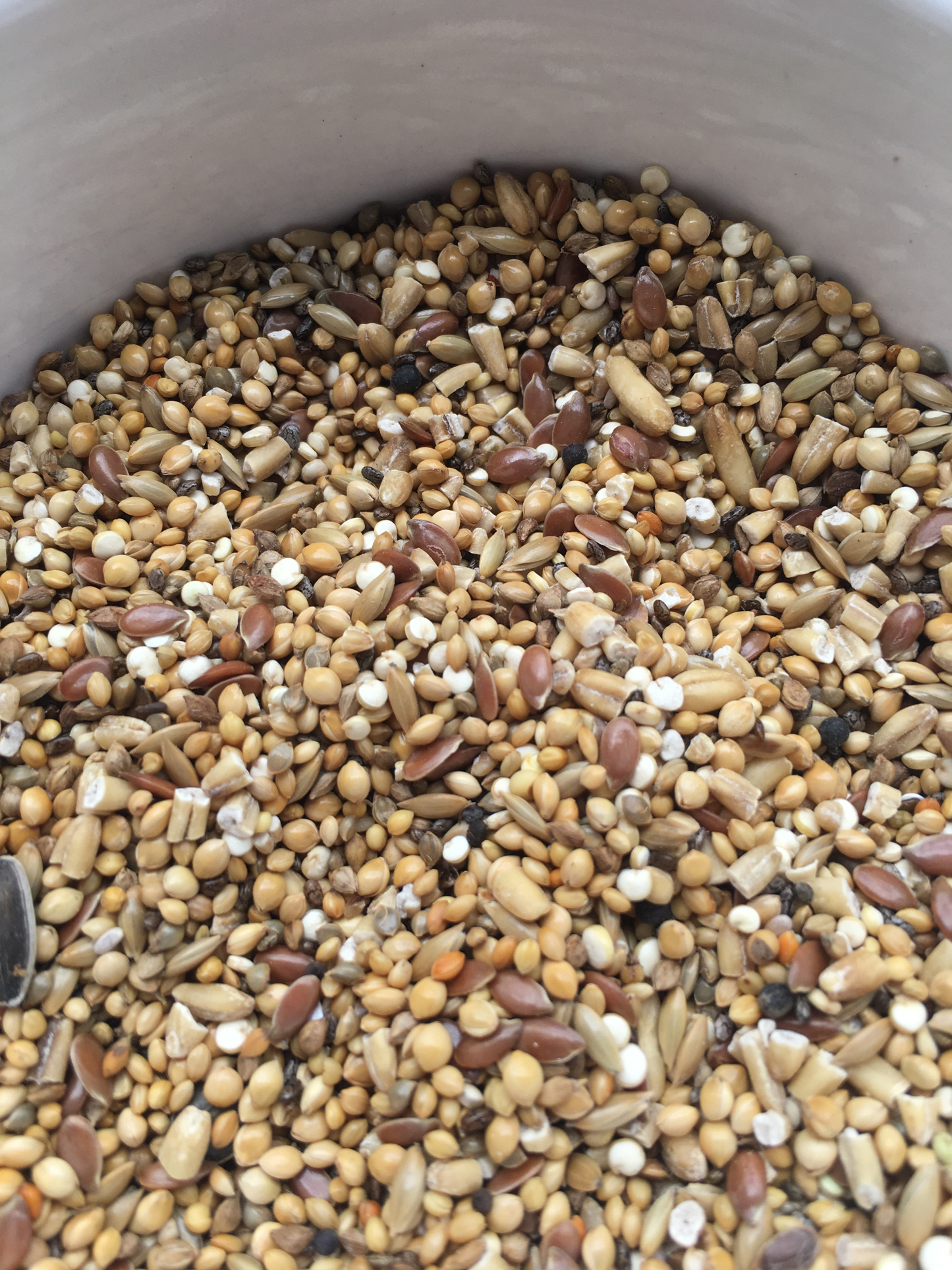 fine seed mix, with steel-cut oats, linseed, chia seeds, four types of millet, and safflower