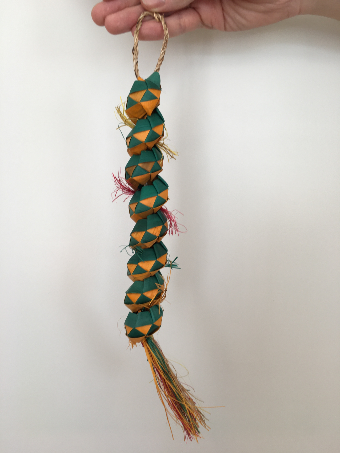 Long Caterpillar