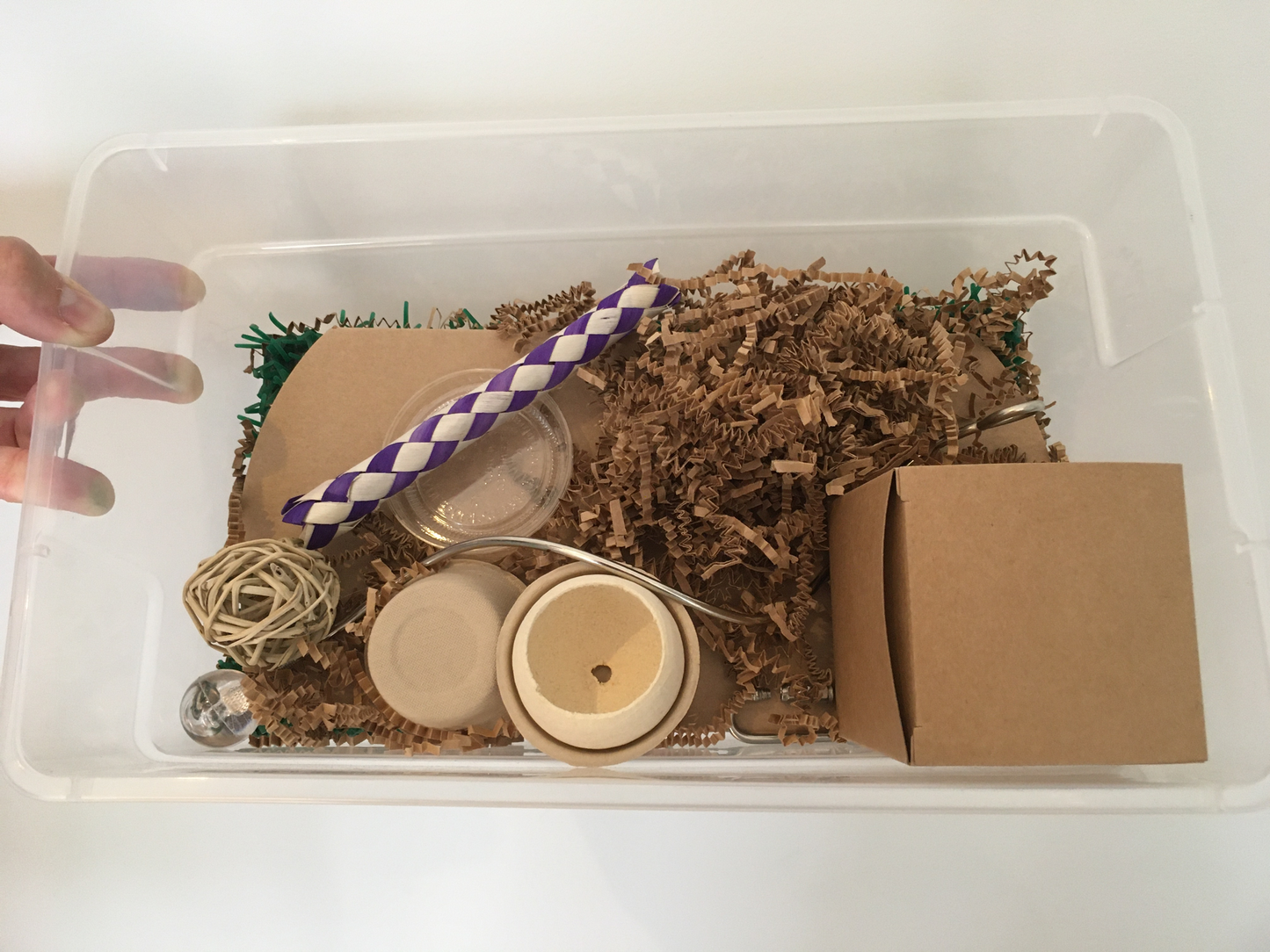 The Great Foraging Experiment