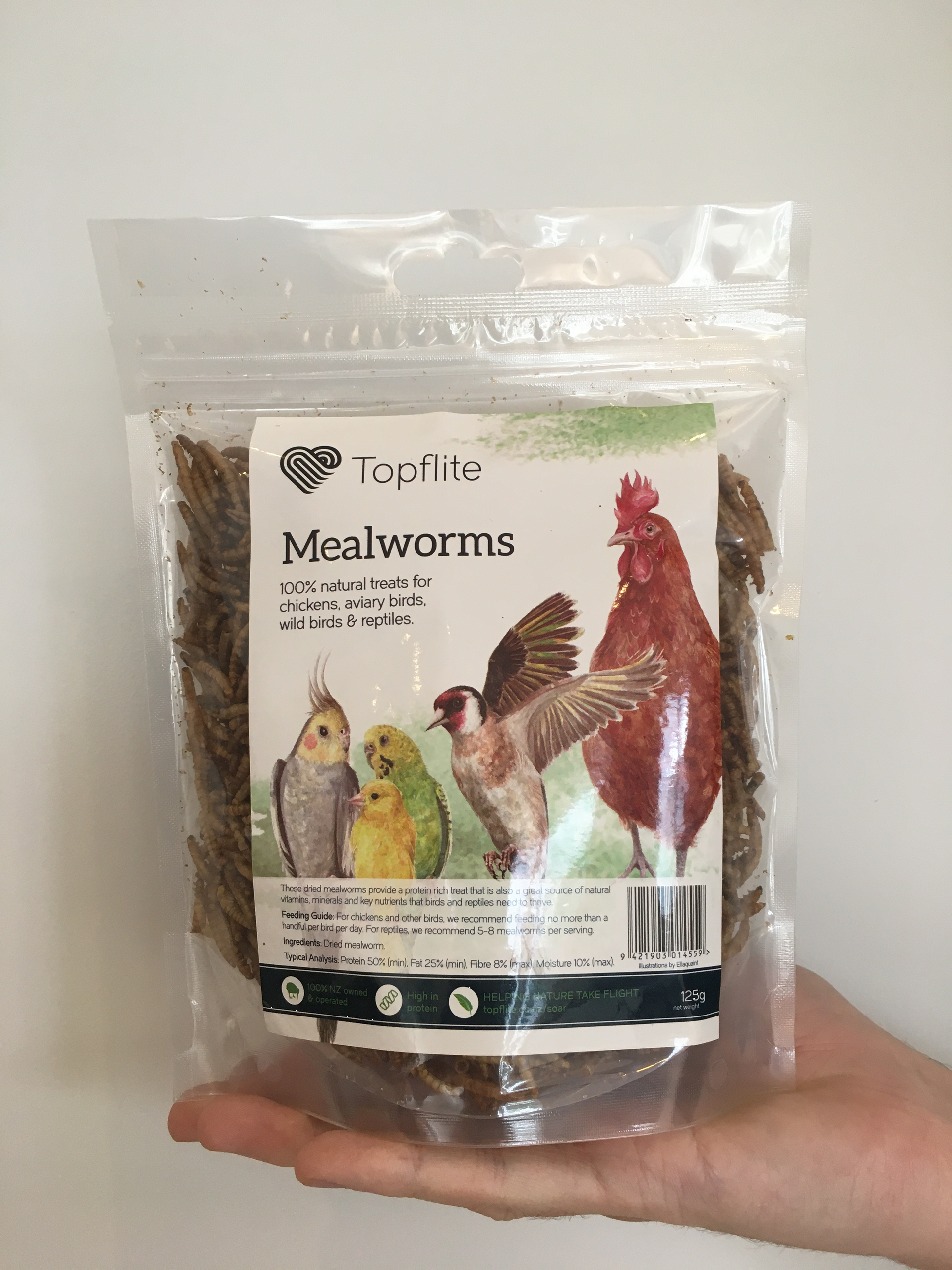 Dried Mealworms