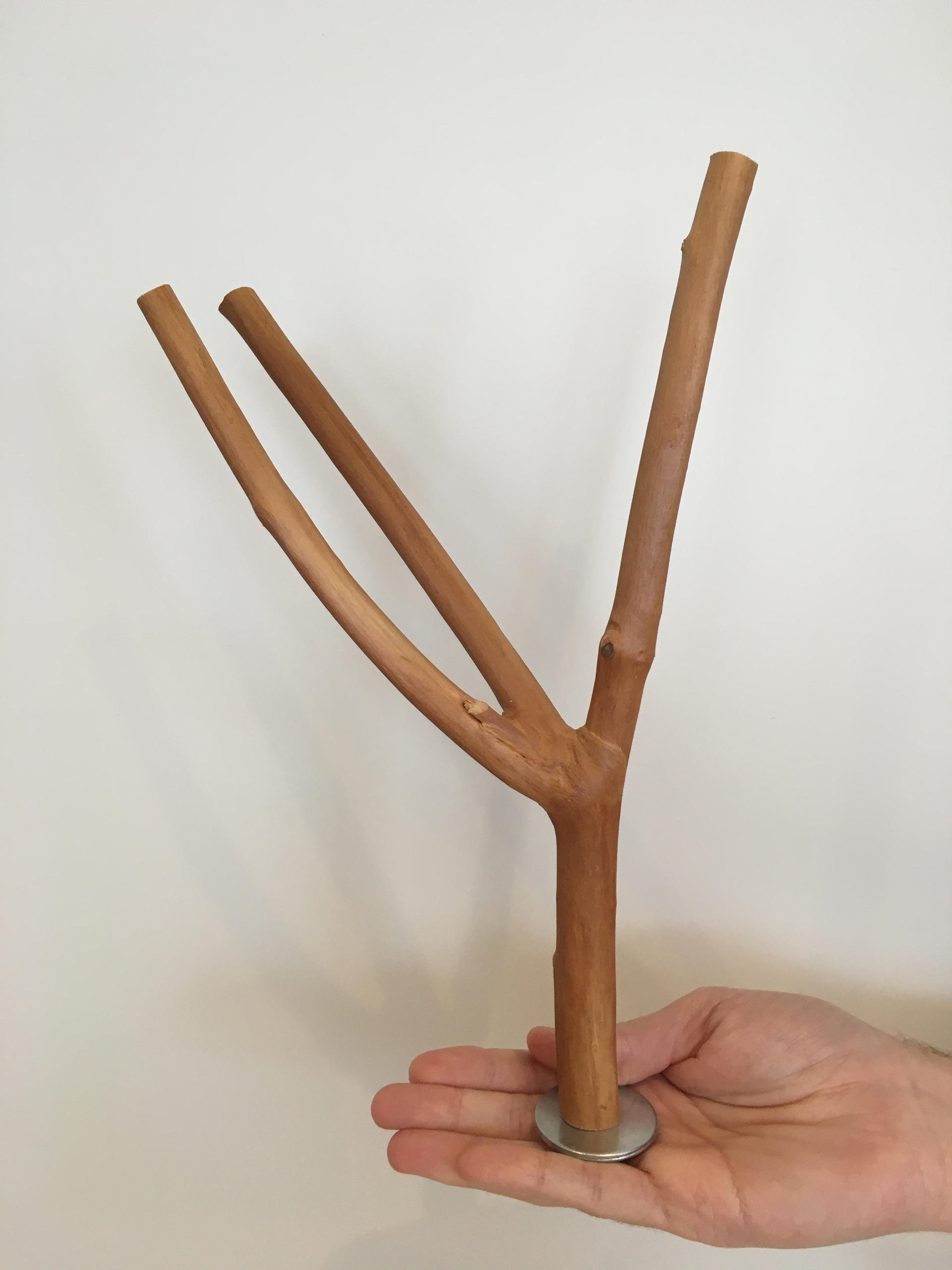 30 cm by 2.5 cm multi branch perch viewed vertically