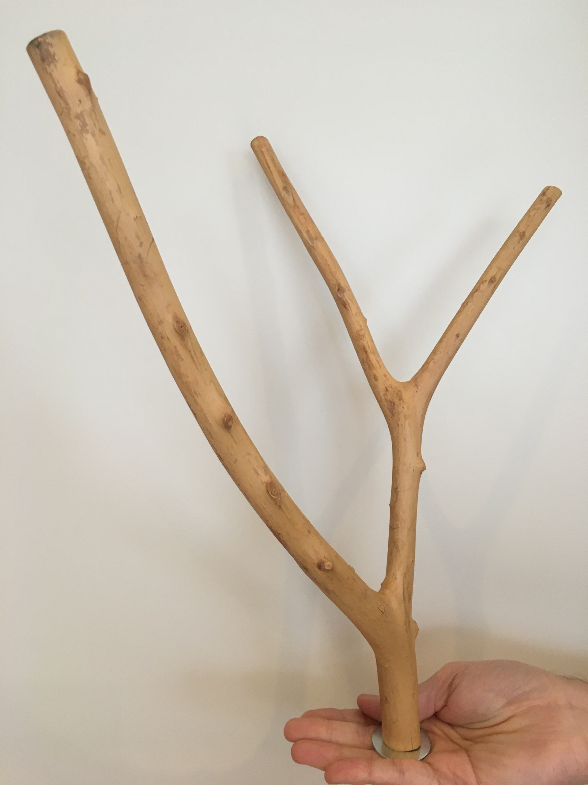 40 cm by 3 cm multi branch perch viewed vertically