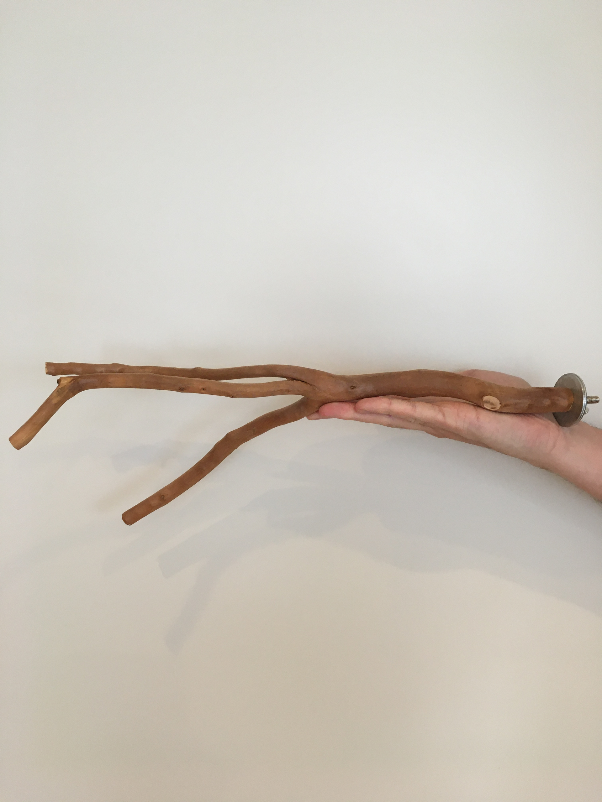 40 cm by 4 cm multi branch perch viewed on its side