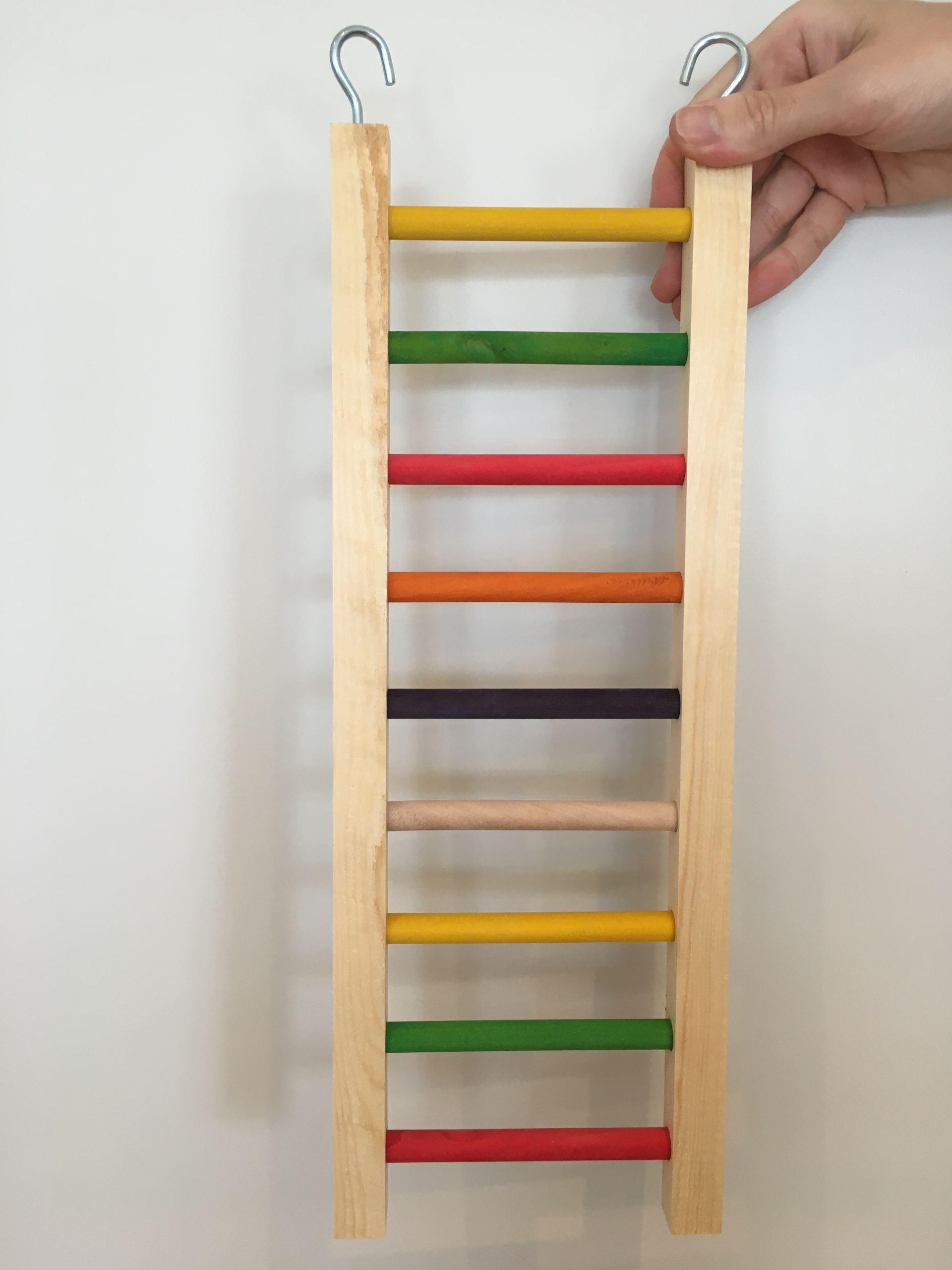 Rainbow Ladder