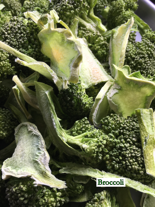 freeze-dried broccoli, small florets, green outer and lighter green middle, sliced up stems, very dry