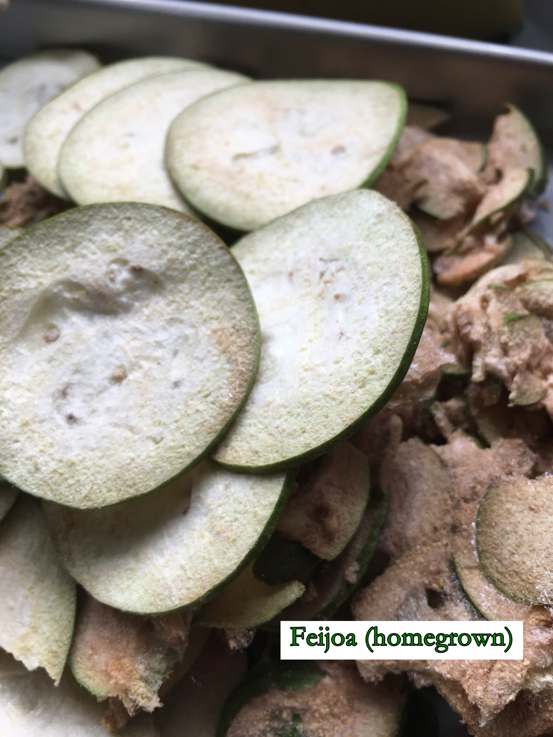 sliced freeze-dried feijoa - thin circles of light green or light brown (there are two varieties). homegrown in lower hutt.
