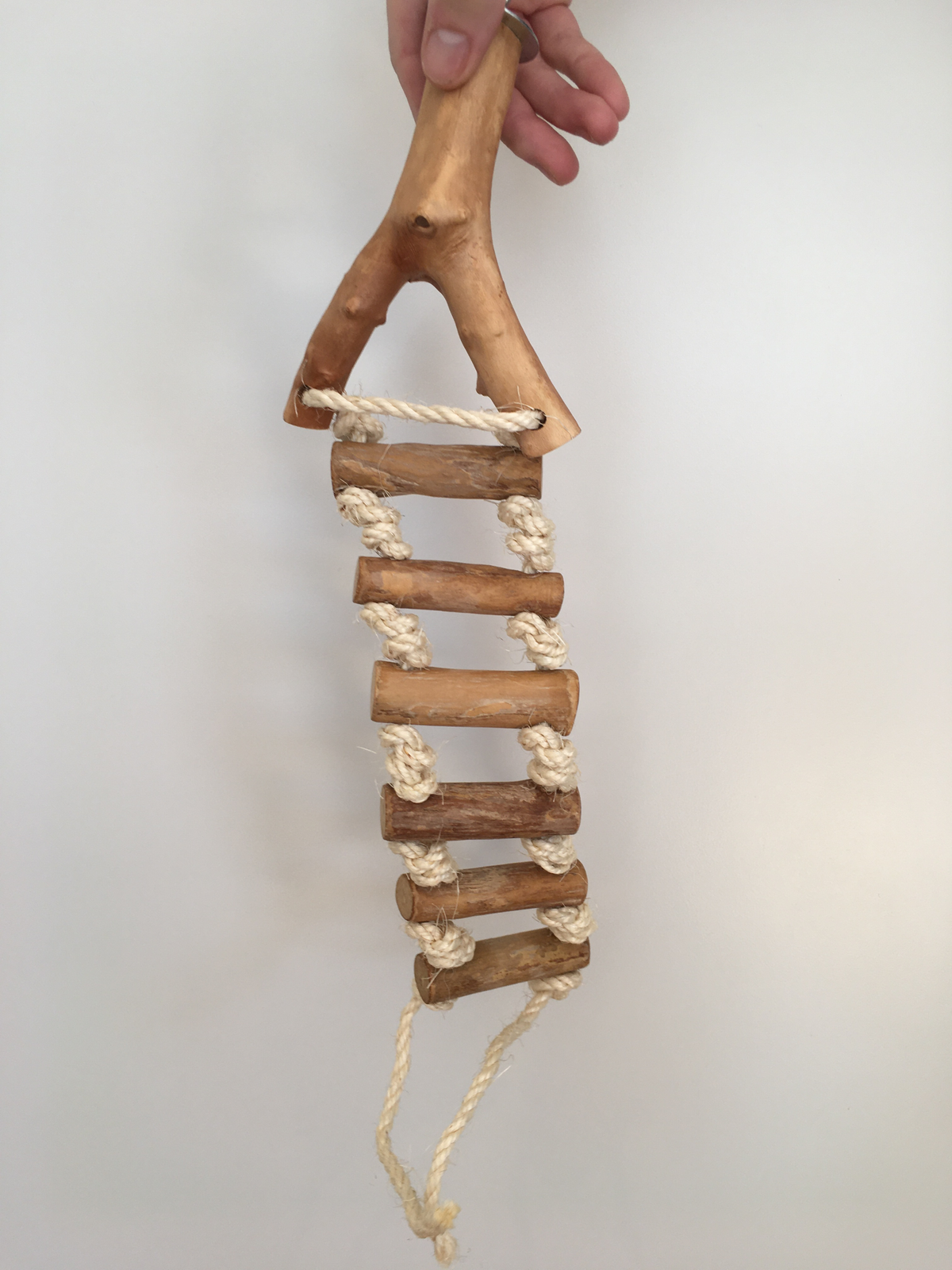 Rope Ladder Perch – Parrot Treats