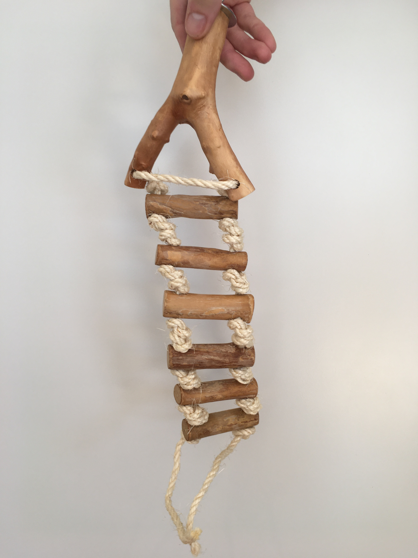 Rope Ladder Perch