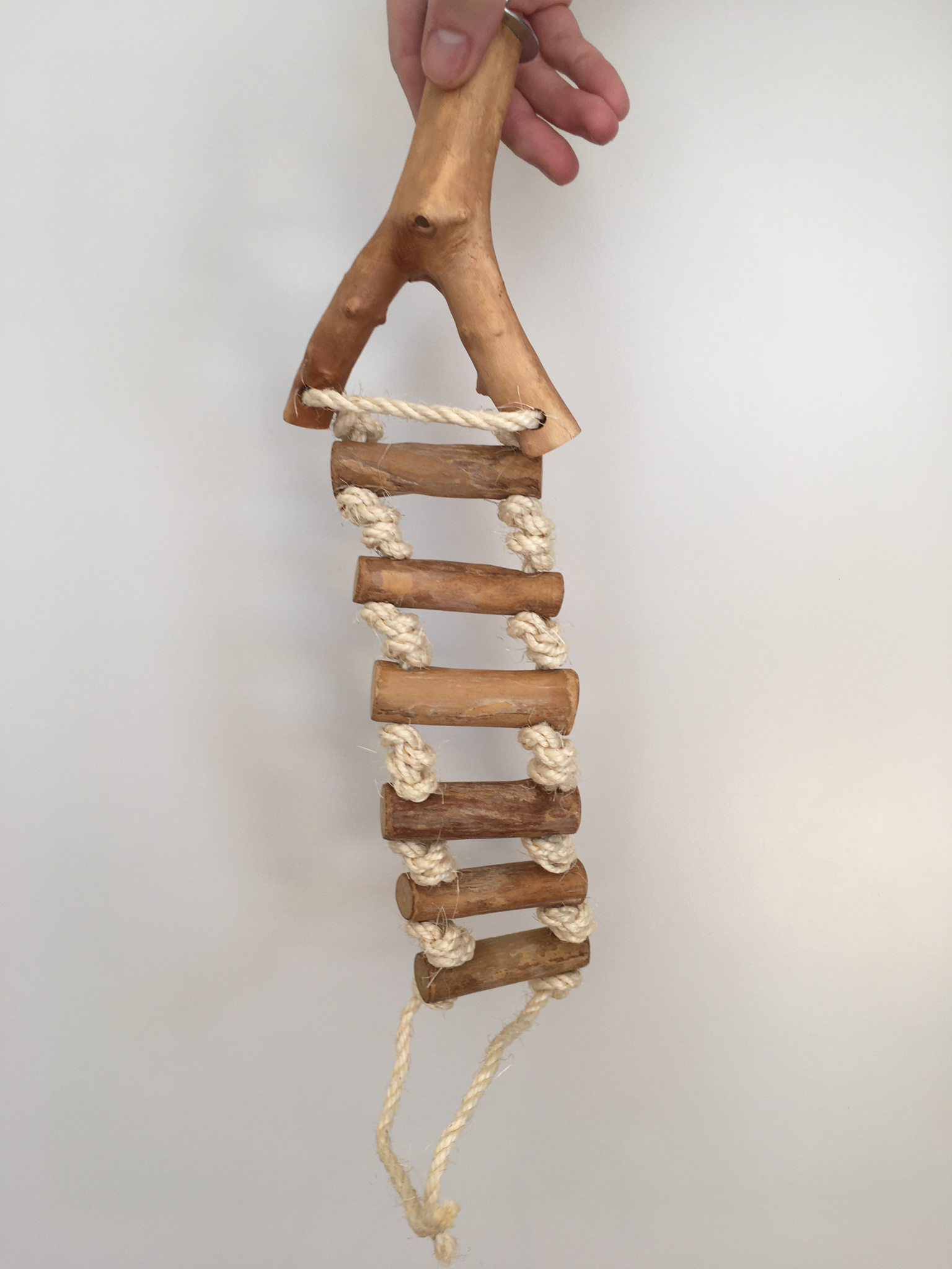 Rope Ladder Perch