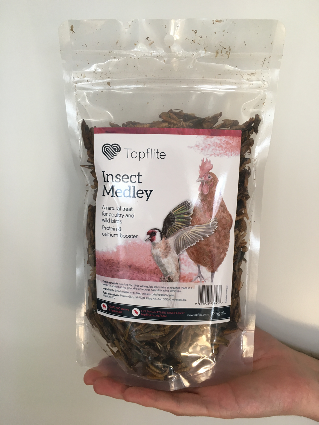 Insect Medley