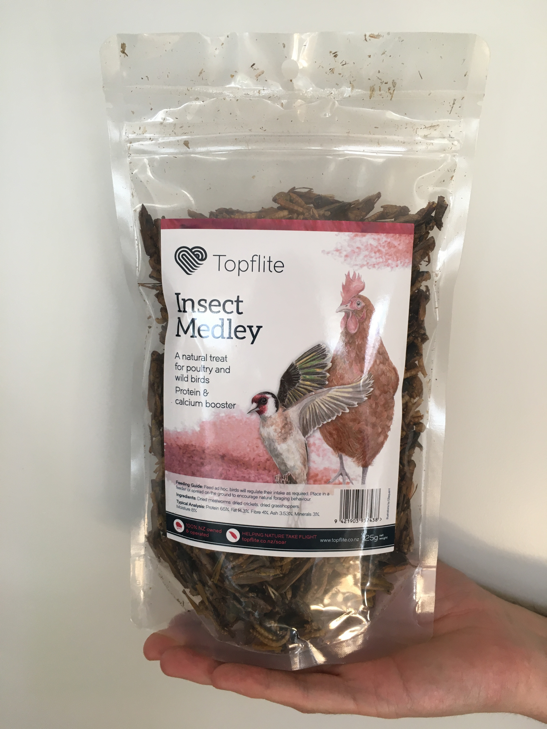 Insect Medley