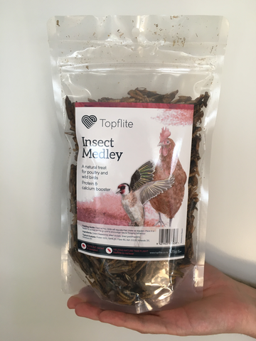 Insect Medley