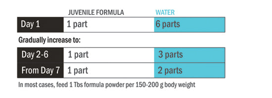 juvenile hand feeding formula instructions and dosage