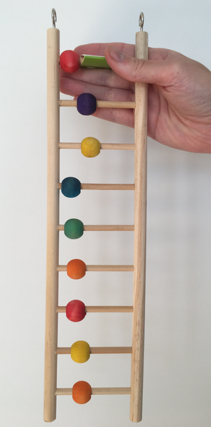 A wooden ladder, with beads to chew on, great for adding extra movement opportunities for your bird. It has nine rungs.
