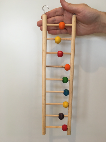 Ladder with Beads