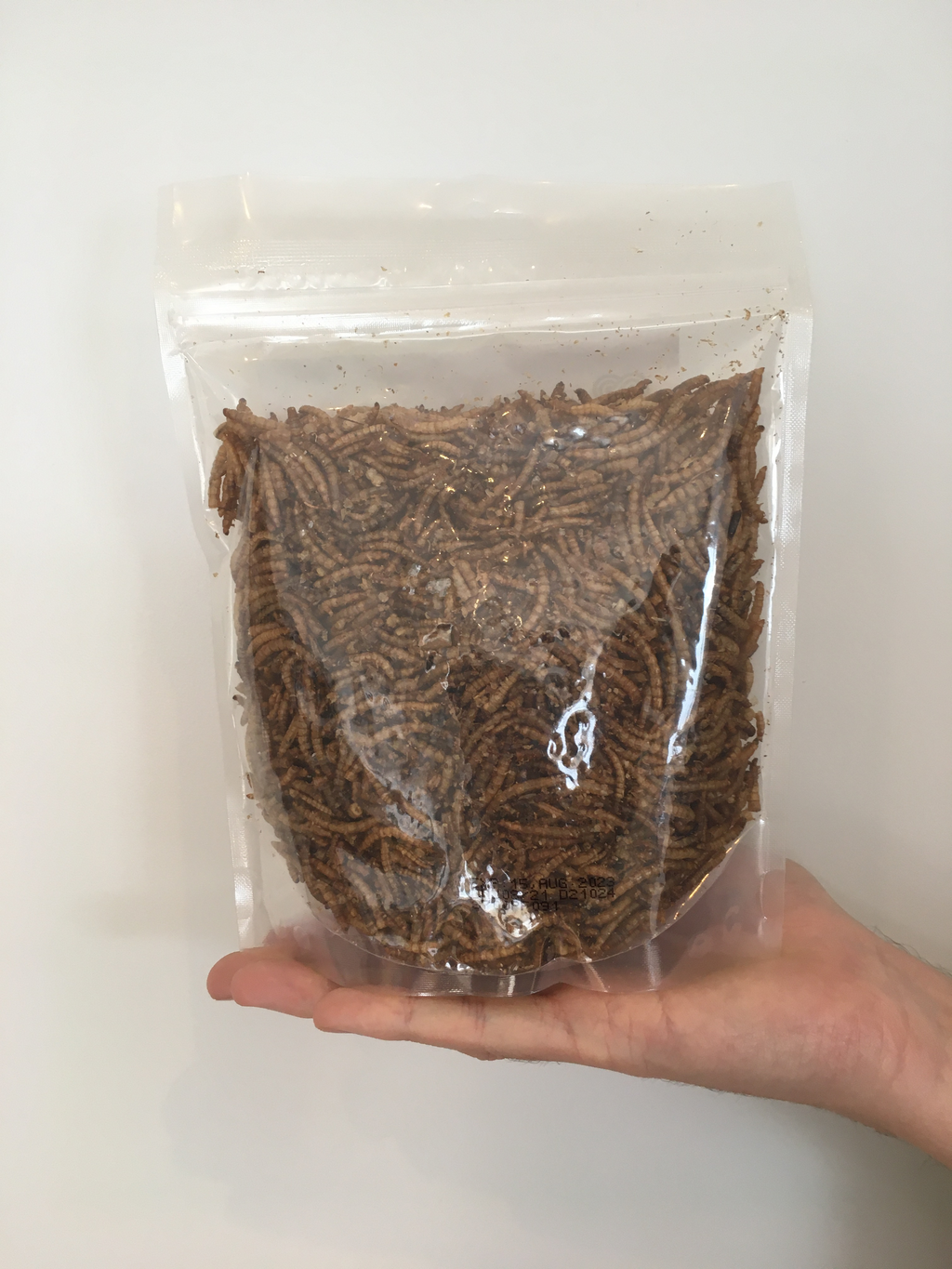 Dried Mealworms