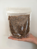 Dried Mealworms