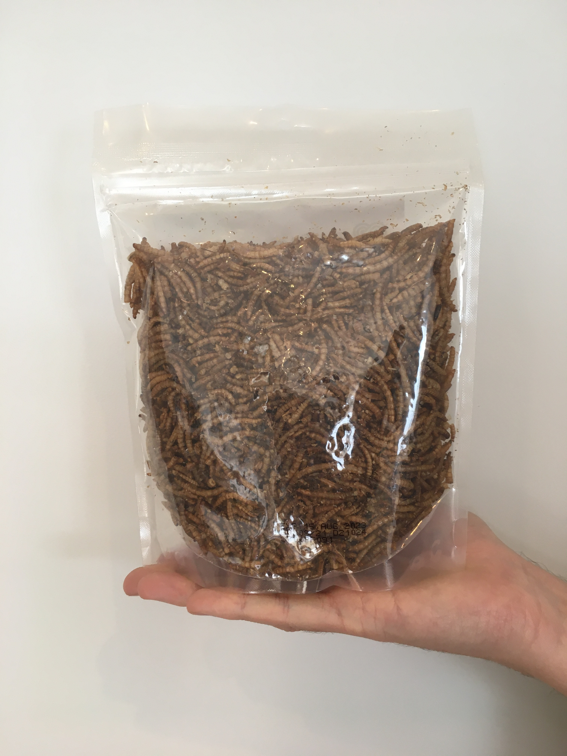 Dried Mealworms
