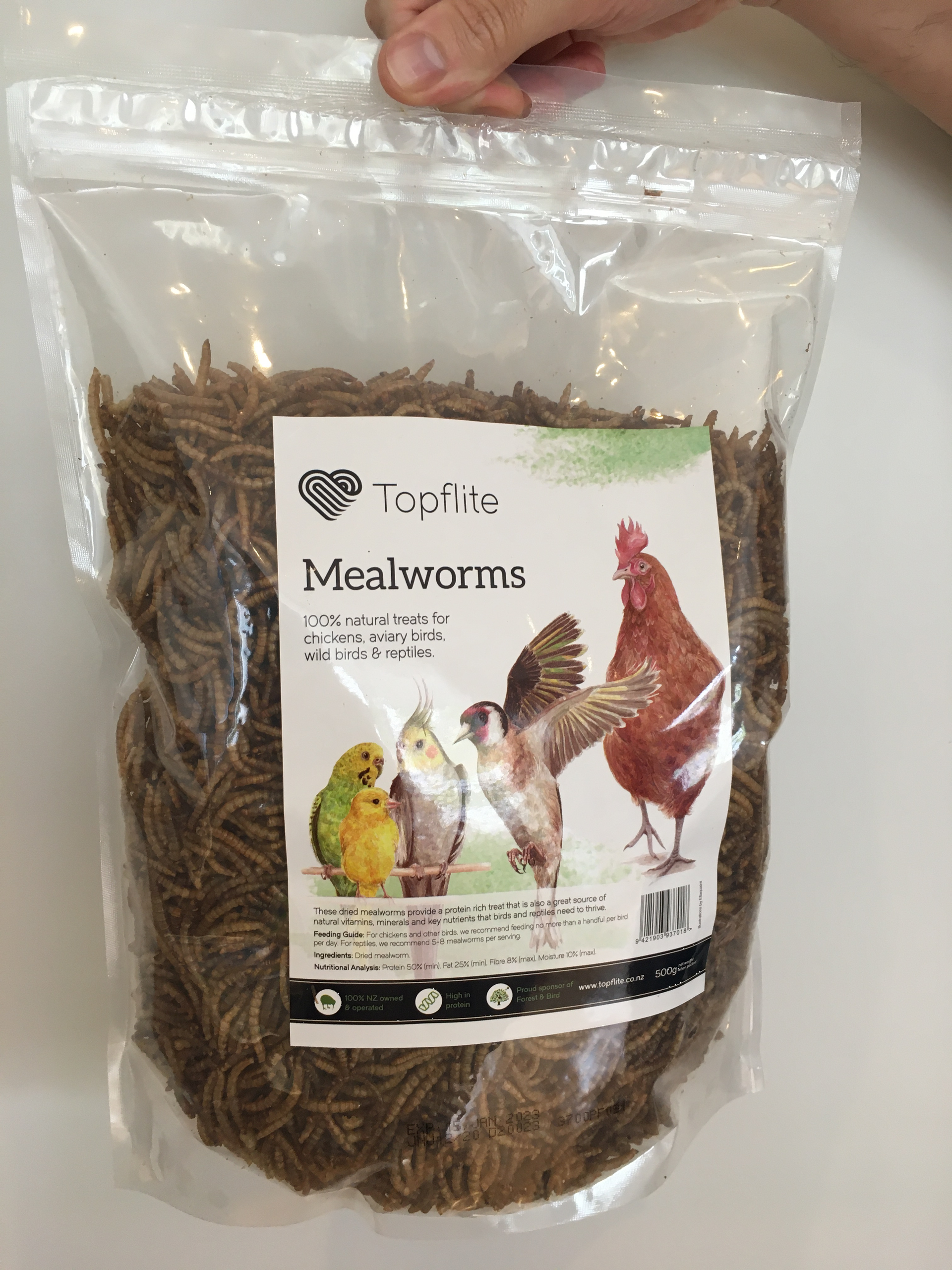 Dried Mealworms