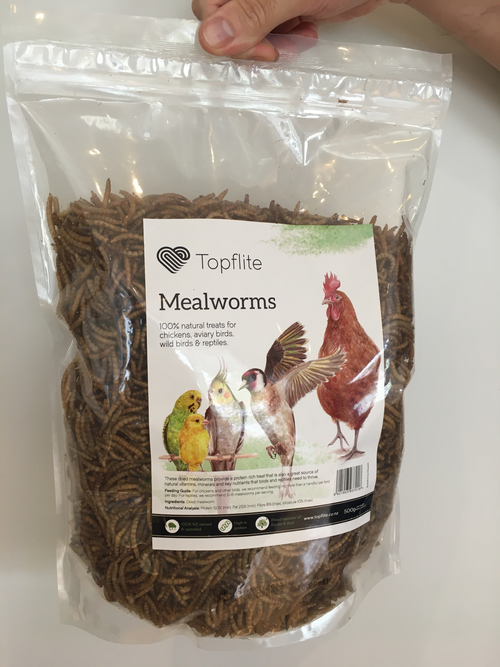 Dried Mealworms