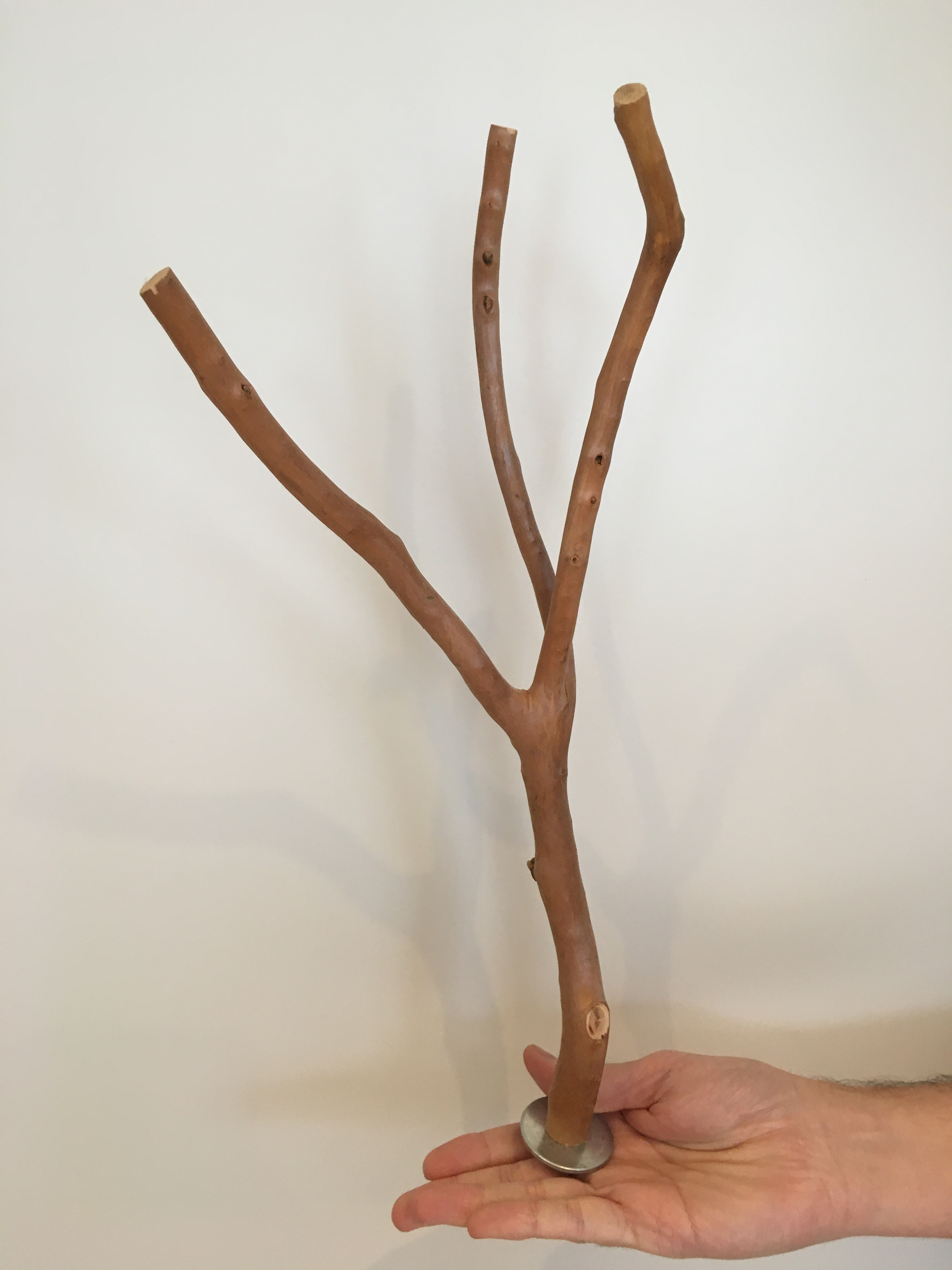 40 cm by 4 cm multi branch perch viewed vertically