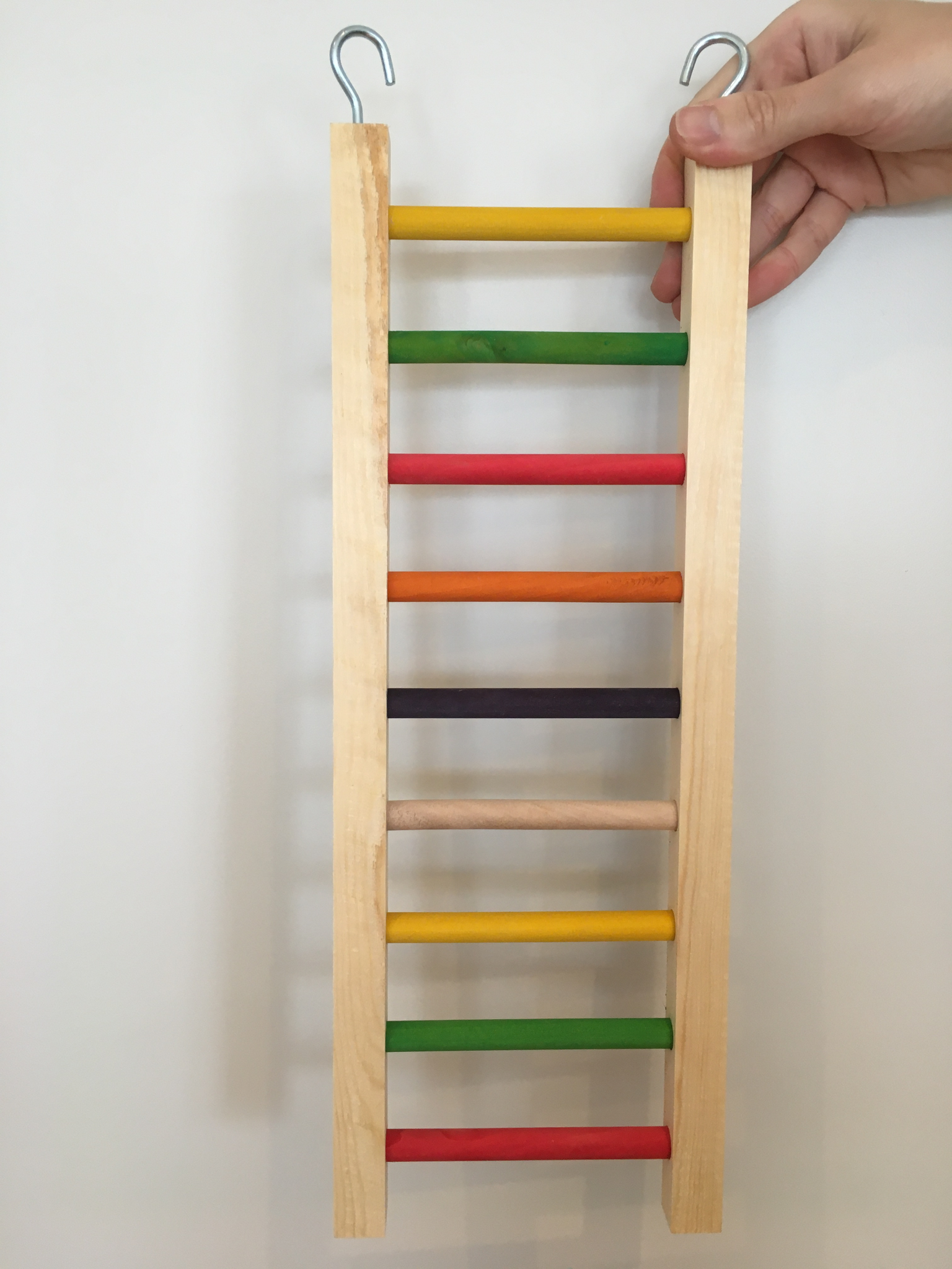 Rainbow Ladder – Parrot Treats